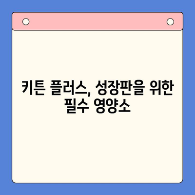 키튼 플러스| 성장기 아이 건강을 위한 필수 영양제 | 키튼 플러스 효능, 성장판, 면역력, 뼈 건강