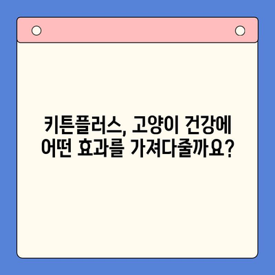 키튼플러스 효과, 가격, 주의 사항 완벽 가이드 | 키튼플러스, 효능, 부작용, 사용 후기