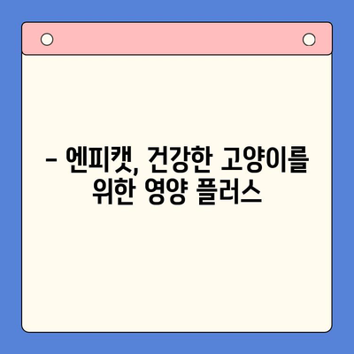 고양이 추르| 벳스크립션 엔피캣(뉴트리션 플러스)과 처방 사료 비교 분석 | 고양이 영양, 건강 관리, 사료 선택 가이드