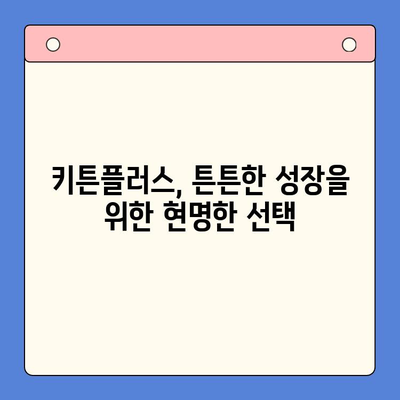 키튼플러스 저렴한 가격 안내| 성장기 건강의 필수품 | 고양이 사료, 키튼, 건강, 성장, 저렴