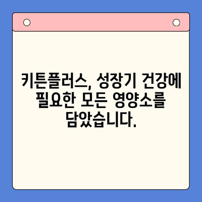 키튼플러스 저렴한 가격 안내| 성장기 건강의 필수품 | 고양이 사료, 키튼, 건강, 성장, 저렴