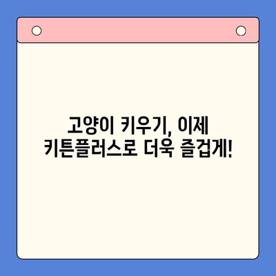 키튼플러스 저렴한 가격 안내| 성장기 건강의 필수품 | 고양이 사료, 키튼, 건강, 성장, 저렴