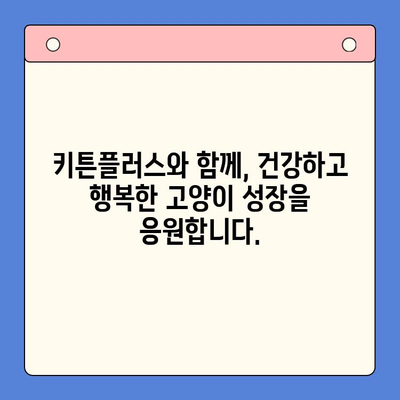 키튼플러스 저렴한 가격 안내| 성장기 건강의 필수품 | 고양이 사료, 키튼, 건강, 성장, 저렴