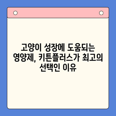 키튼플러스 가격 비교 & 성장 영양제 추천 | 고양이 건강, 면역력 강화, 성장 촉진