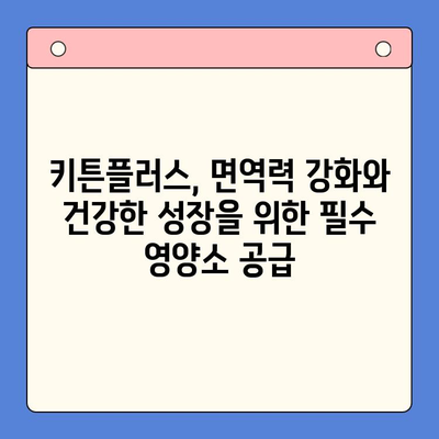 키튼플러스 가격 비교 & 성장 영양제 추천 | 고양이 건강, 면역력 강화, 성장 촉진