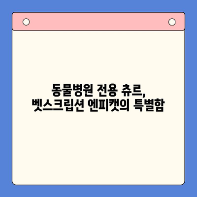 고양이 츄르, 벳스크립션 엔피캣| 동물병원 전용 츄르와 처방 사료 이야기 | 고양이 건강, 영양, 처방식, 벳스크립션, 엔피캣