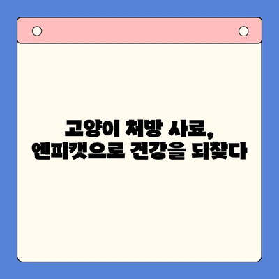 고양이 츄르, 벳스크립션 엔피캣| 동물병원 전용 츄르와 처방 사료 이야기 | 고양이 건강, 영양, 처방식, 벳스크립션, 엔피캣