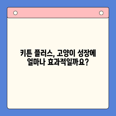 키튼 플러스 vs 다른 영양제| 고양이 성장 효과 비교 분석 | 키튼 플러스, 고양이 영양제, 성장 촉진, 비교 가이드