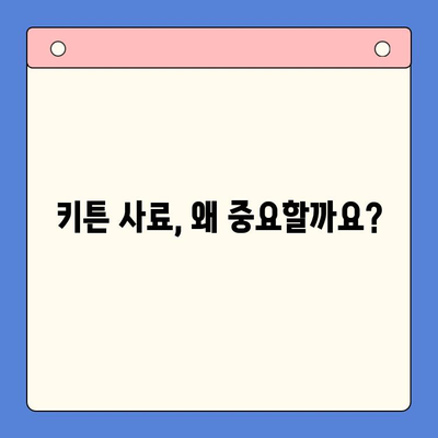 아기 고양이, 건강하게 키우는 첫걸음! 키튼 사료 종류 & 실내묘 사료 추천 | 고양이 사료, 키튼, 실내묘, 건강