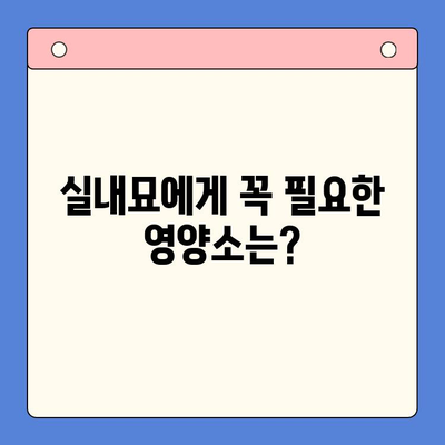 아기 고양이, 건강하게 키우는 첫걸음! 키튼 사료 종류 & 실내묘 사료 추천 | 고양이 사료, 키튼, 실내묘, 건강