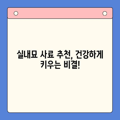 아기 고양이, 건강하게 키우는 첫걸음! 키튼 사료 종류 & 실내묘 사료 추천 | 고양이 사료, 키튼, 실내묘, 건강