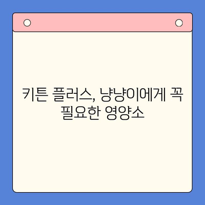 키튼 플러스 효과, 가격, 주의사항| 완벽 가이드 | 키튼 플러스, 집사 필수템, 건강, 영양, 팁