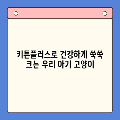 한국콜마 키튼플러스 성장 영양제 효과 후기| 냥이들의 건강한 성장을 위한 선택 | 키튼플러스, 고양이 영양제, 성장, 후기, 효능