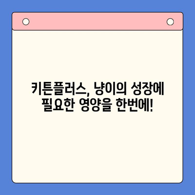 한국콜마 키튼플러스 성장 영양제 효과 후기| 냥이들의 건강한 성장을 위한 선택 | 키튼플러스, 고양이 영양제, 성장, 후기, 효능