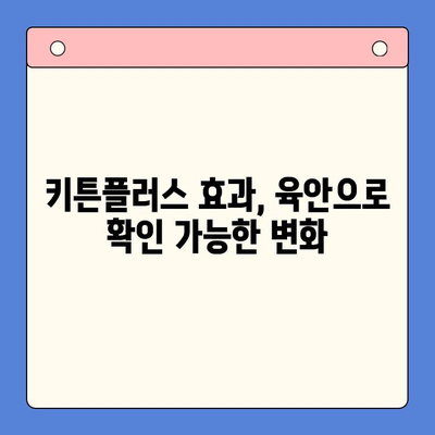 한국콜마 키튼플러스 성장 영양제 효과 후기| 냥이들의 건강한 성장을 위한 선택 | 키튼플러스, 고양이 영양제, 성장, 후기, 효능