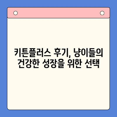 한국콜마 키튼플러스 성장 영양제 효과 후기| 냥이들의 건강한 성장을 위한 선택 | 키튼플러스, 고양이 영양제, 성장, 후기, 효능