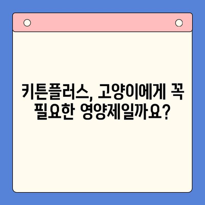 키튼플러스 가격 비교 & 성장 영양제 추천| 가성비 최고는? | 키튼플러스, 고양이 영양제, 가격 비교, 성장 촉진