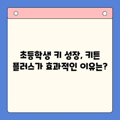 초등학생 키 성장 지원! 키튼 플러스 vs 경쟁 제품 효능 비교 분석 | 영양 보충제, 성장판, 키 성장, 초등학생 건강