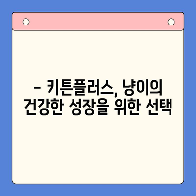 키튼플러스 성장 영양제 가성비 분석| 잘 먹는 고양이 키우기 | 키튼플러스, 고양이 영양제, 가성비, 성장, 후기