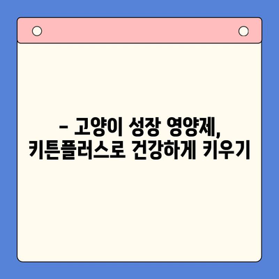 키튼플러스 성장 영양제 가성비 분석| 잘 먹는 고양이 키우기 | 키튼플러스, 고양이 영양제, 가성비, 성장, 후기