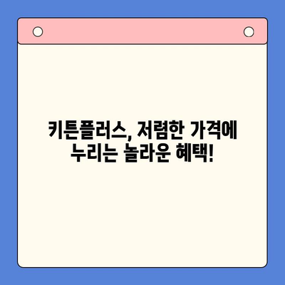 키튼플러스, 저렴한 가격에 누리는 놀라운 혜택! | 키튼플러스, 가격, 장점, 할인, 혜택, 고양이 용품