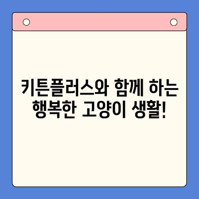 키튼플러스, 저렴한 가격에 누리는 놀라운 혜택! | 키튼플러스, 가격, 장점, 할인, 혜택, 고양이 용품