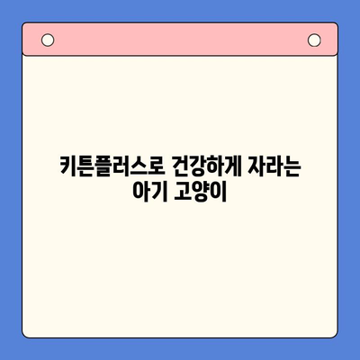 키튼플러스 단독 무료 체험| 건강한 성장을 위한 최상의 선택 | 고양이 건강, 면역력 강화, 영양 공급