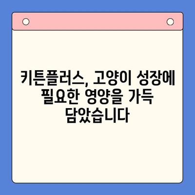 키튼플러스 단독 무료 체험| 건강한 성장을 위한 최상의 선택 | 고양이 건강, 면역력 강화, 영양 공급
