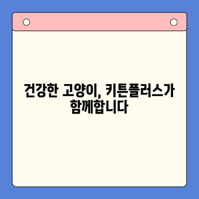 키튼플러스 단독 무료 체험| 건강한 성장을 위한 최상의 선택 | 고양이 건강, 면역력 강화, 영양 공급