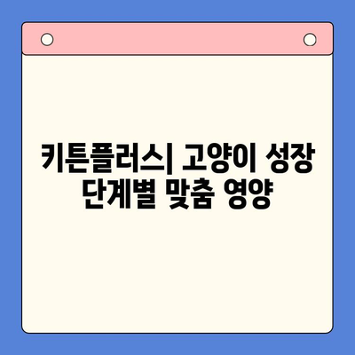 키튼플러스 성분 분석| 고양이 성장에 필요한 영양소는? | 키튼플러스, 고양이 사료, 성장 단계, 영양 분석, 고양이 건강