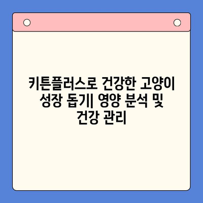 키튼플러스 성분 분석| 고양이 성장에 필요한 영양소는? | 키튼플러스, 고양이 사료, 성장 단계, 영양 분석, 고양이 건강