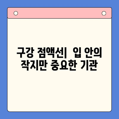 구강 점액선 질환| 병리학적 변화와 종류, 진단 및 치료 | 구강 점액선, 염증, 종양, 진단, 치료