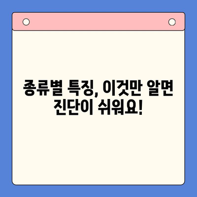 구강 연조직 종양의 병리생리학적 분류| 종류별 특징과 진단 | 구강 종양, 연조직 종양, 병리학, 생리학, 종양 분류