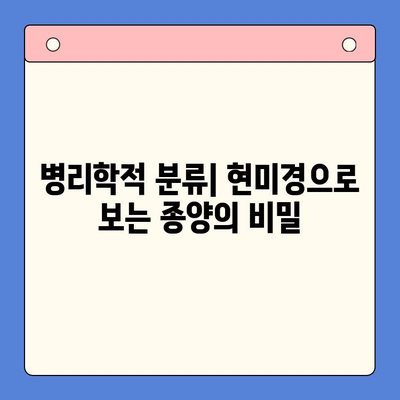 구강 연조직 종양의 병리생리학적 분류| 종류별 특징과 진단 | 구강 종양, 연조직 종양, 병리학, 생리학, 종양 분류