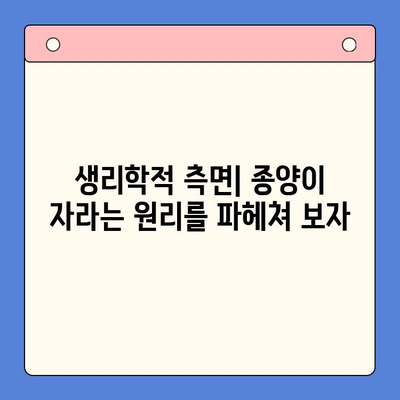 구강 연조직 종양의 병리생리학적 분류| 종류별 특징과 진단 | 구강 종양, 연조직 종양, 병리학, 생리학, 종양 분류