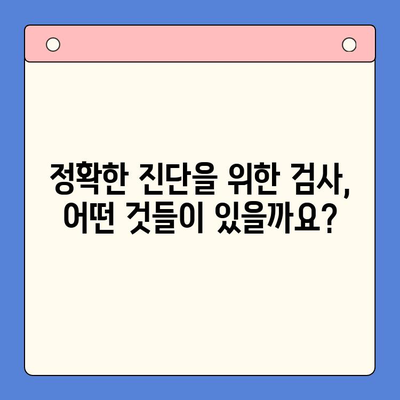 구강 연조직 종양의 병리생리학적 분류| 종류별 특징과 진단 | 구강 종양, 연조직 종양, 병리학, 생리학, 종양 분류