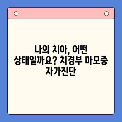 서울 치경부마모증, 예방과 관리| 나에게 맞는 방법 찾기 | 치아 마모, 치아 관리, 치과 상담, 서울 치과