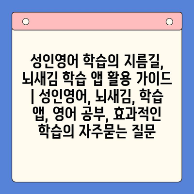 성인영어 학습의 지름길, 뇌새김 학습 앱 활용 가이드 | 성인영어, 뇌새김, 학습 앱, 영어 공부, 효과적인 학습