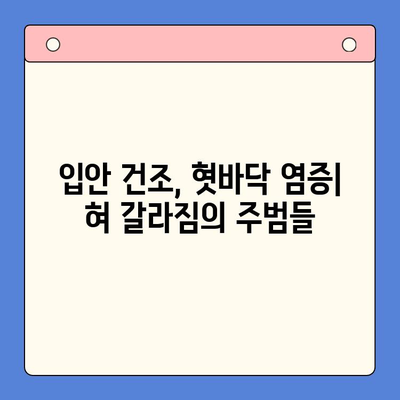 혀 갈라짐과 혓바닥 따가움, 원인과 치료법 총정리 | 입안 건조, 혓바닥 염증, 혀 갈라짐 원인, 치료법