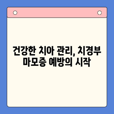 치경부 마모증, 이제 걱정 끝! 건강한 치아 관리를 위한 5가지 방법 | 치경부 마모증 예방, 치아 건강 관리 팁