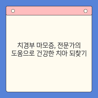 치경부 마모증, 이제 걱정 끝! 건강한 치아 관리를 위한 5가지 방법 | 치경부 마모증 예방, 치아 건강 관리 팁