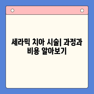 세라믹 치아| 치과 용어 이해하기 | 치아 재료, 장단점, 시술 비용, 주의 사항