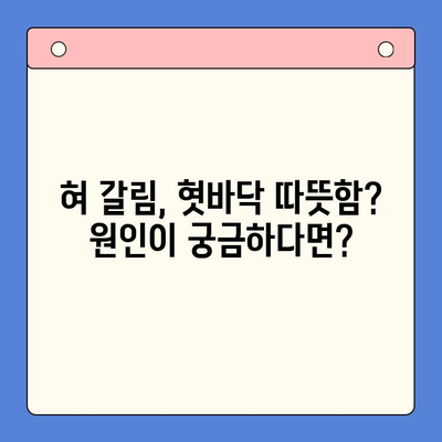 혀 갈림과 혓바닥 따뜻함? 대구 구강외과에서 원인과 해결책 찾으세요 | 혀 갈림, 혓바닥, 구강외과, 대구