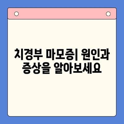 서울 구강내과 치경부 마모증 관리| 원인, 증상, 치료 및 예방 | 치아 마모, 시린 이, 잇몸 퇴축, 구강 건강