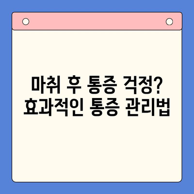 치과용 마취제로 편안하게 임플란트 수술 받는 방법 | 임플란트, 마취, 통증, 안전, 치과