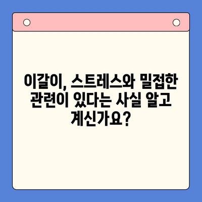 일원역 구강내과의 공감 치료| 이갈이, 이제 걱정하지 마세요 | 이갈이 치료, 턱관절 장애, 수면 장애, 스트레스 해소