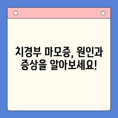 치경부 마모증, 이제 걱정 끝! 🦷  |  예방과 관리를 위한 5가지 실천법 | 치아 마모, 치경부 마모, 치아 건강