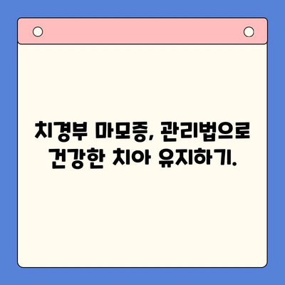 치경부 마모증, 이제 걱정 끝! 🦷  |  예방과 관리를 위한 5가지 실천법 | 치아 마모, 치경부 마모, 치아 건강