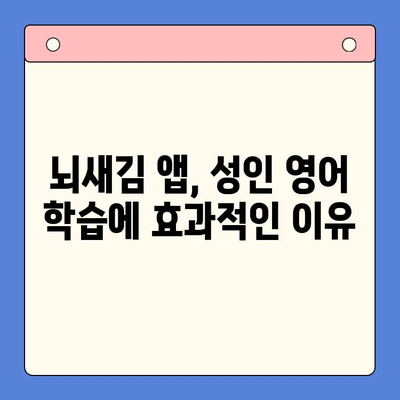 뇌새김 학습지 활용법| 성인 영어 학습 앱 체험기 | 영어 공부, 뇌새김, 앱 추천, 학습 효과