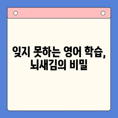 뇌새김으로 영어 공부 시작! 성인을 위한 맞춤 학습 전략 | 영어 학습, 뇌새김, 성인 영어, 학습 전략